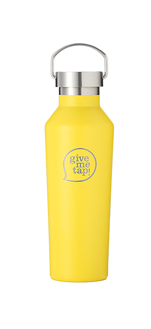 500ml Insulated Bottle