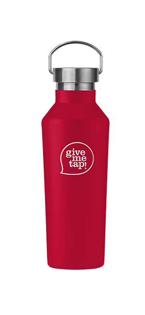 500ml Insulated Bottle